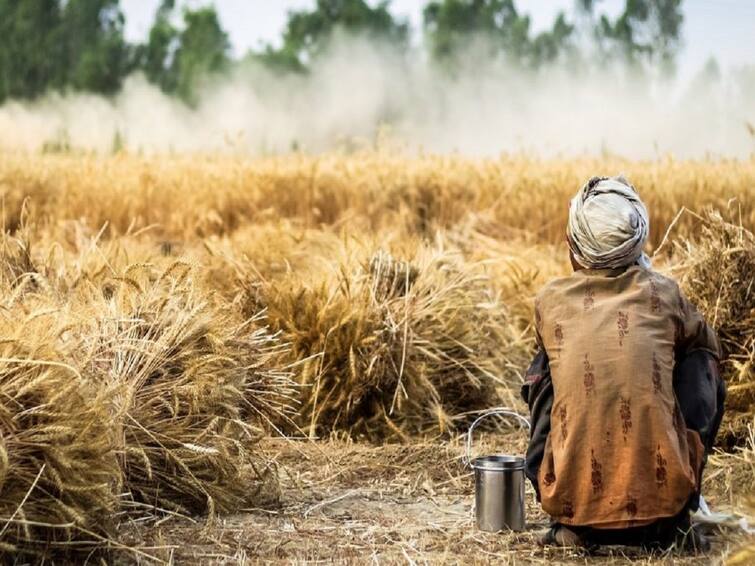 CM KCR decides to waive farmer crop loans upto one lakh rupees Crop Loan Waives: రైతులకు సర్కార్ బిగ్ గుడ్‌న్యూస్! రూ.లక్షలోపు రుణాలు మాఫీ