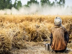 రైతులకు సర్కార్ బిగ్ గుడ్‌న్యూస్! రూ.లక్షలోపు రుణాలు మాఫీ