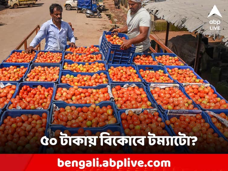 Govt to reduce tomato price further from August 15 Independence Day to sell at Rs 50 per kg Tomato Price: স্বাধীনতা দিবসে বড় চমক! ৫০ টাকায় বিকোবে 'মহার্ঘ' টম্যাটো!