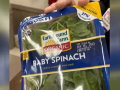 Viral News: ਬਜ਼ਾਰ 'ਚੋਂ ਪਾਲਕ ਖਰੀਦੀ ਲੈ ਆਈ ਔਰਤ, ਪੈਕੇਟ ਖੋਲ੍ਹਦੇ ਹੀ ਅੰਦਰੋਂ ਨਿਕਲਿਆ ਕੁਝ ਅਜਿਹਾ, ਦੇਖ ਕੇ ਚੀਕ ਪਈ...