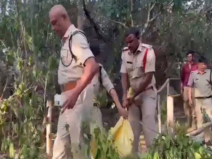 Leopard That Killed 6 Year Old Girl Near Tirumala Tirupati Temple Captured says police Leopard Attack: 6 வயது குழந்தையை தாக்கி கொன்ற சிறுத்தை சிக்கியது.. திருப்பதி கோயில் அருகே நடந்தது என்ன?