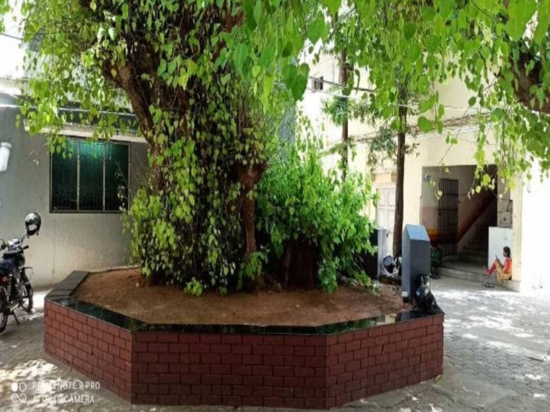 Independence Day 2023 Special : திருச்சி காந்தி மரம்..... பேராசிரியர்களுக்கு அறிவுரை வழங்கிய மகாத்மா காந்தியடிகள்