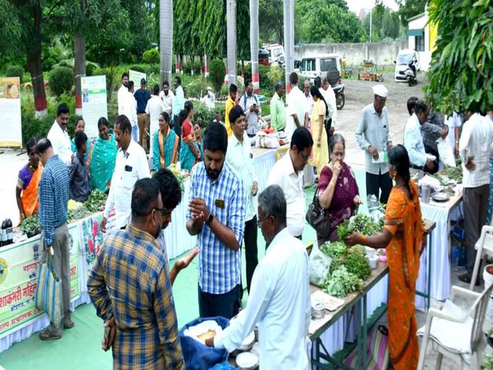 Ranbhaji Mahotsav : राज्याचे रोजगार हमी योजना आणि फलोत्पादन मंत्री तथा औरंगाबाद जिल्ह्याचे पालकमंत्री संदिपान भुमरे यांच्या हस्ते रानभाजी महोत्सवाचे उद्घाटन करण्यात आले.