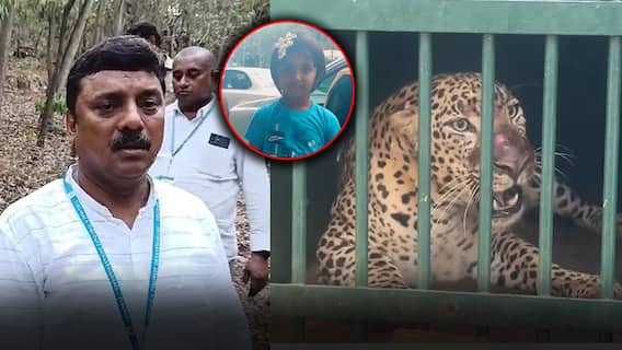 Tiger Attack on Girl in Tirumala |బోనులో చిక్కిన చిరుత.. పాపను చంపింది ఇదేనా అంటూ అనుమానాలు..? | ABP