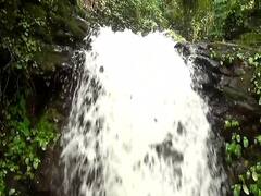 Shelwa Waterfall : तळकोकणात फेसळणारा शेवळा धबधबा पर्यटकांनी बहरला, पाहा फोटो