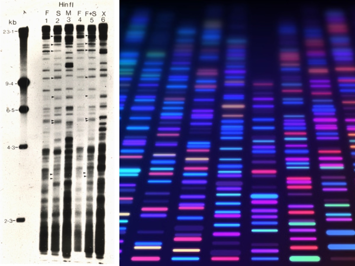 Discovery Of Cholera Toxin, Collagen Structure, DNA Fingerprinting, Chandrayaan — India's Science Milestones Since Independence