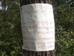 छत्तीसगढ़: स्वतंत्रता दिवस से पहले बस्तर संभाग में नक्सलियों का उत्पात! कोटवार की हत्या, चस्पा किया पोस्टर, प्रशासन अलर्ट