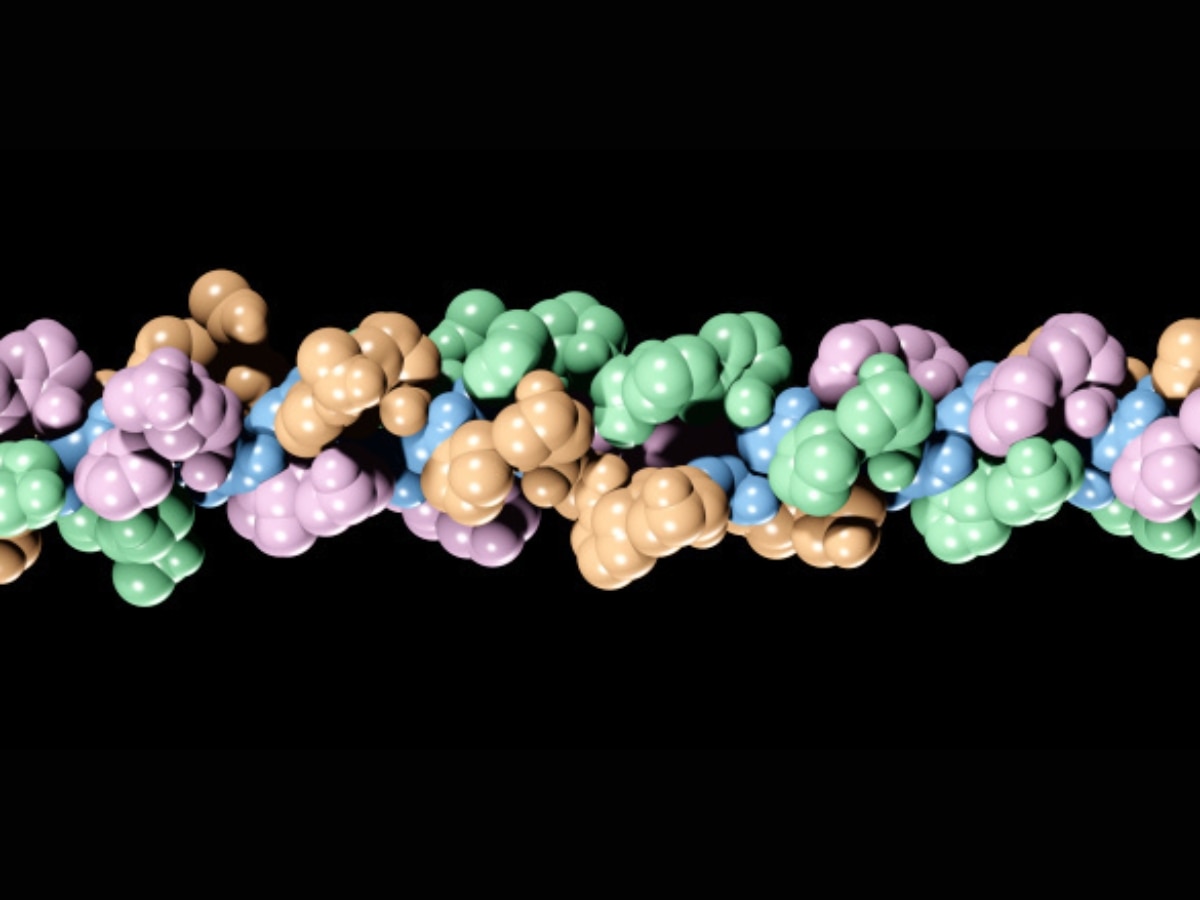 Discovery Of Cholera Toxin, Collagen Structure, DNA Fingerprinting, Chandrayaan — India's Science Milestones Since Independence