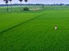 Total Cultivated Area In Telangana Goes Up From 1.31 Crore To 2.20 Crore Acres Since 2014: Govt