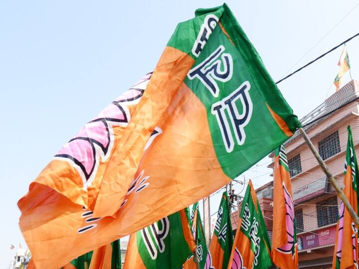MP Assembly Elections 2023 bjp candidate rajesh sonkar claimed to have won by 25000 votes ann MP Elections 2023: राजेश सोनकर का दावा, सज्जन वर्मा को देंगे 25 हजार वोट से पटखनी