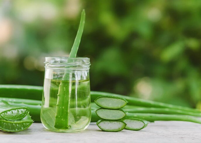 Aloe Vera Side Effects: એલોવેરા લગાવતા પહેલાં જાણી લો તેનાથી થતા નુકસાન.... ચામડી થઈ જશે.....