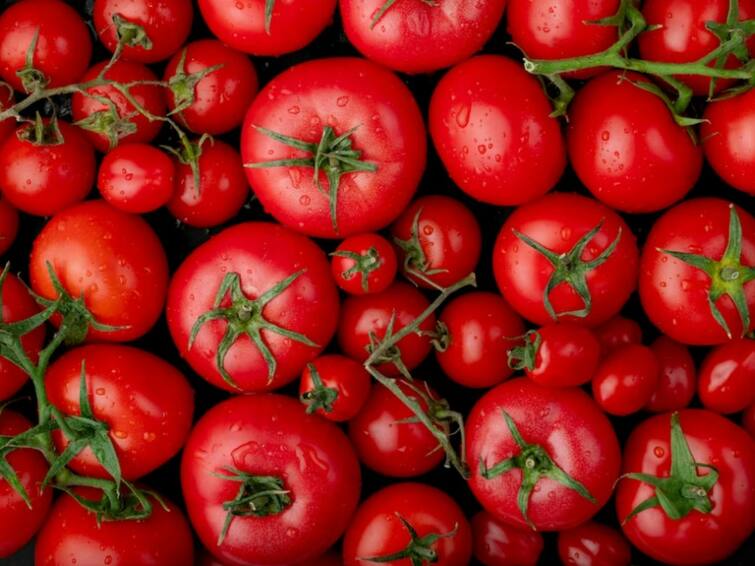 Lucknow Heavy fall in tomato prices in Uttar Pradesh Tomato Price: यूपी में टमाटर के दामों में भारी गिरावट, फिर भी राहत नहीं, जानें- आपके इलाके में नया रेट?