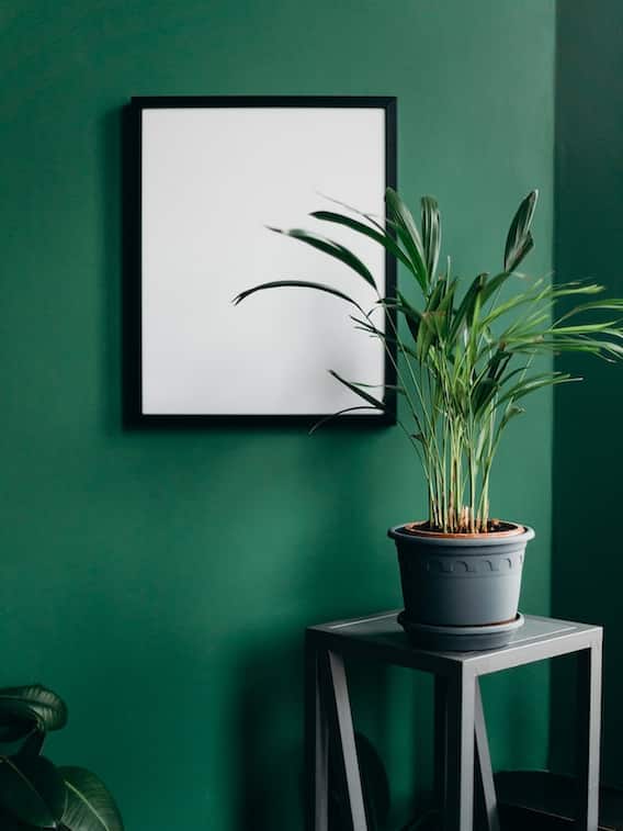 ఇలా చేస్తే డబ్బే డబ్బు - ట్రై చేయండి