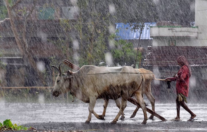 কলকাতায় মূলত মেঘলা আকাশ থাকবে। কয়েক পশলা হালকা থেকে মাঝারি বৃষ্টি হতে পারে। মঙ্গলবার থেকে বৃহস্পতিবার বৃষ্টির পরিমাণ সামান্য বাড়বে।