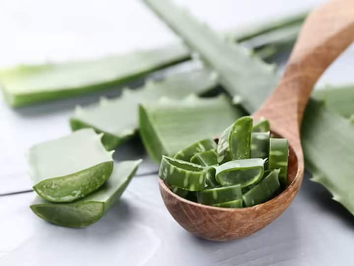 एलोवेरा लगाते हैं तो इससे जुड़े ये नुकसान पहले जान लें...स्किन में सकती है ये दिक्कत does using alovera make skin darker एलोवेरा लगाते हैं तो इससे जुड़े ये नुकसान पहले जान लें...स्किन में सकती है ये दिक्कत