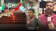 Tiger Attack on Girl In Tirumala: చిరుత దాడులపై టీటీడీ నిర్ణయాల మీద భక్తుల అభిప్రాయం | DNN | ABP