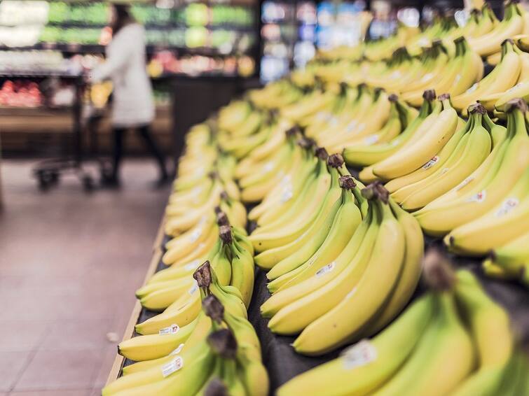 Health Tips how bananas affect diabetes and blood sugar levels marathi news Health Tips : 'या' आजारांनी त्रस्त असलेल्या रुग्णांनी चुकूनही केळी खाऊ नये; अन्यथा जीव धोक्यात येईल