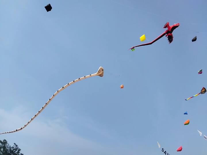 40,000-க்கும் மேற்பட்ட சுற்றுலா பயணிகள் இங்கு வருகை தந்துள்ளனர்