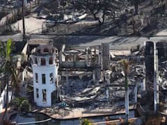 హవాయి కార్చిచ్చులో 99 మంది, 3 వేల జంతువులు మృత్యువాత