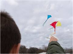 क्या सही में पतंग उड़ाना है गैरकानूनी? अगर उड़ाई तो हो सकती है जेल! ये है नियम