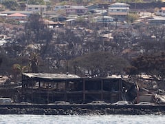 Maui Wildfire: Toll Rises To 99 As Officials Ramp Up Search For Survivors