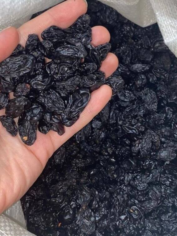 दिन में इस वक्त पी लेंगे काली किशमिश का पानी, फिर देखिए कमाल