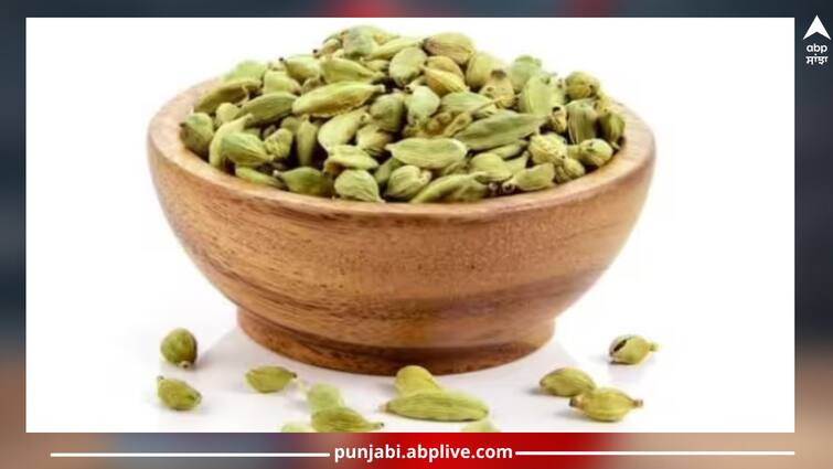 Health News: green cardamom benefits elaichi benefits Elaichi Benefits: ਹਾਈ ਬੀਪੀ ਤੋਂ ਲੈ ਕੇ ਡਾਇਬਟੀਜ਼ ਤੱਕ...ਇਨ੍ਹਾਂ 7 ਗੰਭੀਰ ਬਿਮਾਰੀਆਂ ਲਈ ਰਾਮਬਾਣ ਹੈ ਰਸੋਈ ਦਾ ਇਹ ਮਸਾਲਾ