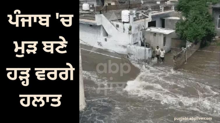 Flood like situation in Punjab again  flood gates of Bhakra-Pong dam opened  dam broken in Hoshiarpur Punjab Flood: ਪੰਜਾਬ ਚ ਮੁੜ ਬਣੇ ਹੜ੍ਹ ਵਰਗੇ ਹਲਾਤ, ਭਾਖੜਾ-ਪੌਂਗ ਡੈਮ ਦੇ ਫਲੱਡ ਗੇਟ ਖੋਲ੍ਹੇ, ਹੁਸ਼ਿਆਰਪੁਰ 'ਚ ਟੁੱਟਿਆ ਬੰਨ੍ਹ