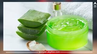 Skin Care Tips: ਜੇਕਰ ਤੁਸੀਂ 'ਐਲੋਵੇਰਾ' ਲਗਾਉਂਦੇ ਹੋ, ਤਾਂ ਪਹਿਲਾਂ ਜਾਣੋ ਇਸ ਨਾਲ ਜੁੜੇ ਇਹ ਨੁਕਸਾਨ…ਚਮੜੀ 'ਚ ਹੋ ਸਕਦੀ ਇਹ ਸਮੱਸਿਆ