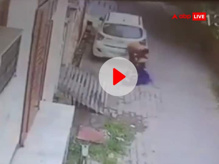 Meerut viral video girl assaulted for opposing molestation Watch: मेरठ में छेड़खानी का विरोध करने पर युवती से सरेआम मारपीट, बैग छीनकर भागा आरोपी
