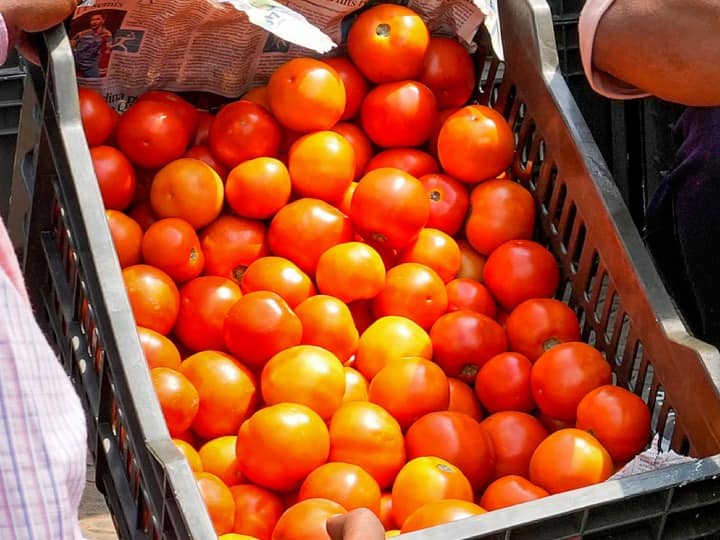 delhi government is selling tomato at rs 50 per kg in order to give relief to the people Tomato Price: केंद्र सरकार के निर्देश के बाद दिल्ली में 50 रुपये किलो मिलेगा टमाटर, पढ़ें पूरी जानकारी