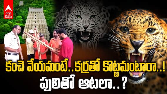 Tiger Attack on Girl In Tirumala: చిరుతలు వస్తున్నాయంటే... కర్రలతో కొండెక్కమంటారా..?| ABP