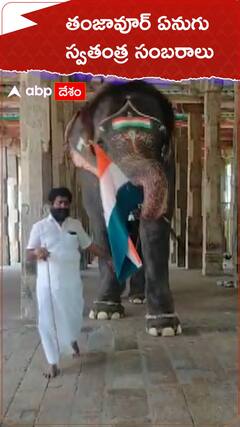 జాతీయ జెండాను తొండంతో మోసిన ఏనుగు