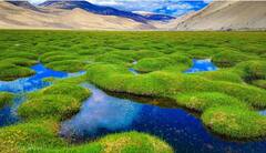 उठाइए अपना बैग और निकल पड़िए देश की ऐसी 5 जगहों के लिए, जहां जाकर ऐसा लगेगा कोई दूसरे ग्रह पर आ गए हैं