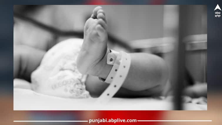 Punjab News: body of a newborn girl was found in the toilet of civil hospital, police registered a case against 4 including RMP doctor Punjab News: ਸਿਵਲ ਹਸਪਤਾਲ ਦੇ ਟਾਇਲਟ 'ਚੋਂ ਮਿਲੀ ਨਵਜੰਮੀ ਬੱਚੀ ਦੀ ਲਾਸ਼, ਪੁਲਿਸ ਨੇ ਆਰਐੱਮਪੀ ਡਾਕਟਰ ਸਣੇ 4 ਖ਼ਿਲਾਫ਼ ਕੇਸ ਕੀਤਾ ਦਰਜ