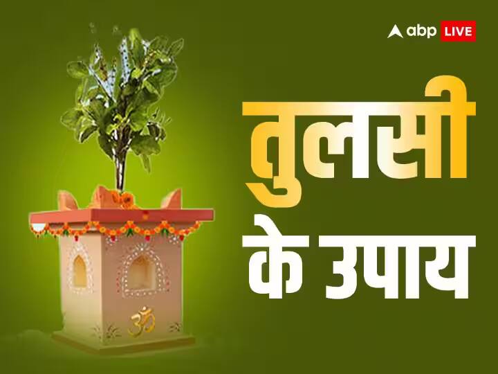 Guruwar ke Upay Tulsi remedies on Thursday will fill your house with money and prosperity Guruwar Ke Upay: गुरुवार को तुलसी के उपाय, पैसे और समृद्धि से भर देंगे आपका घर