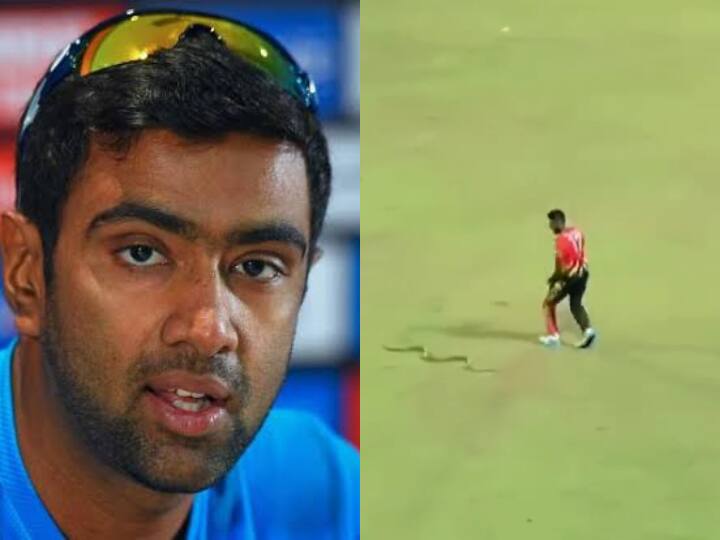 Indian spinner R Ashwin blast on snake video in Lanka Premier League 2023 and know what he said about nature watch video LPL 2023: लंका प्रीमियर लीग में मैदान पर सांप देख भड़के अश्विन, नेचर को लेकर कह गए बड़ी बात