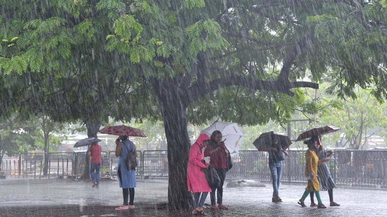 Weather Today Update: Red alert in Himachal-Uttarakhand, rain in Delhi-UP, know how the weather will be in your state Weather Today Update: હિમાચલ-ઉત્તરાખંડમાં રેડ એલર્ટ, દિલ્હી-યુપીમાં ભારે વરસાદની આગાહી, જાણો કેવું રહેશે તમારા રાજ્યમાં હવામાન