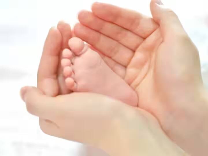 If you are planning a child with IVF treatment, do not forget to follow this diet plan IVF ટ્રીટમેન્ટથી બાળકનું પ્લાનિંગ કરો છો તો આ ડાયટ પ્લાનને અનુસરવાનું ન ભૂલશો, જાણો રીસર્ચનું તારણ