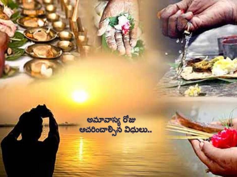 importance and significance of Adhikmaas Amavasya 2023, Know In Details Adhikmaas Amavasya 2023:  ఈ రోజు (ఆగష్టు 16 ) అధికమాస అమావాస్య - ఆచరించాల్సిన విధులివే!