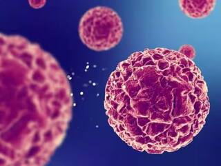 Health : ਜ਼ਿਆਦਾ ਪ੍ਰੋਟੀਨ ਖਾਣਾ ਤੁਹਾਡੀ ਸਿਹਤ ਲਈ ਠੀਕ ਨਹੀਂ, ਕੈਂਸਰ ਤੇ ਟਿਊਮਰ ਦਾ ਵਧਾਉਂਦੈ ਖ਼ਤਰਾ