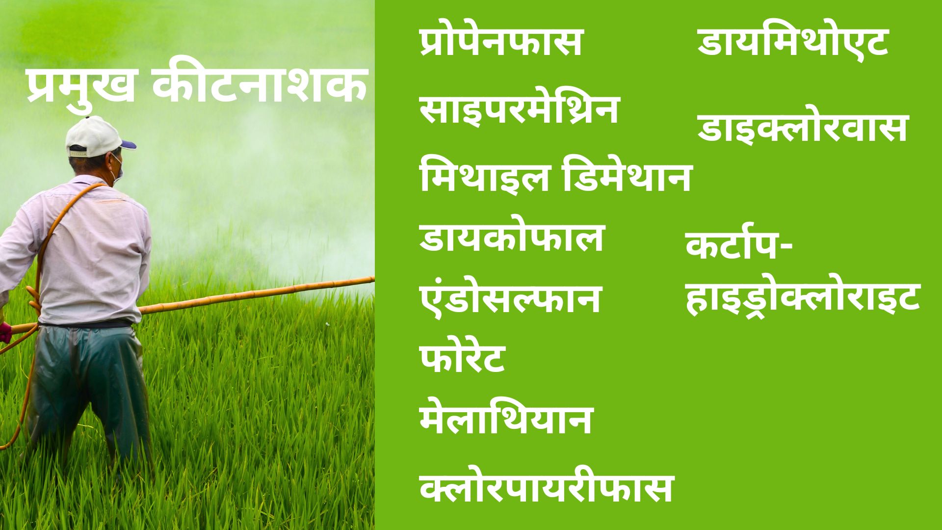 घर-घर बीमारी पहुंचा रहे खेती में इस्तेमाल होने वाले कीटनाशक, मिट्टी, हवा और पानी में घुल रहा है जहर