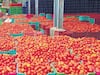 Tomato Price: కిలో టమాట 5 రూపాయలే!