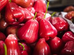 Water Apple: कब्ज हो जाएगी मिनटों में छूमंतर, Skin पर आएगा ग्लो बस खाना शुरू कर दें इस अनोखे सेब को