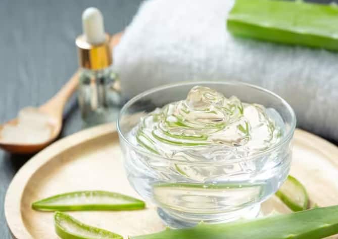 एलोवेरा जेलने ओठांचा काळेपणा दूर होतो. जर तुम्हाला ओठांचा काळेपणा लवकर दूर करायचा असेल तर यासाठी तुम्ही दररोज एलोवेरा जेलचा वापर करा.