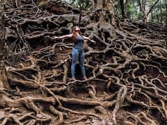 उठाइए अपना बैग और निकल पड़िए देश की ऐसी 5 जगहों के लिए, जहां जाकर ऐसा लगेगा कोई दूसरे ग्रह पर आ गए हैं