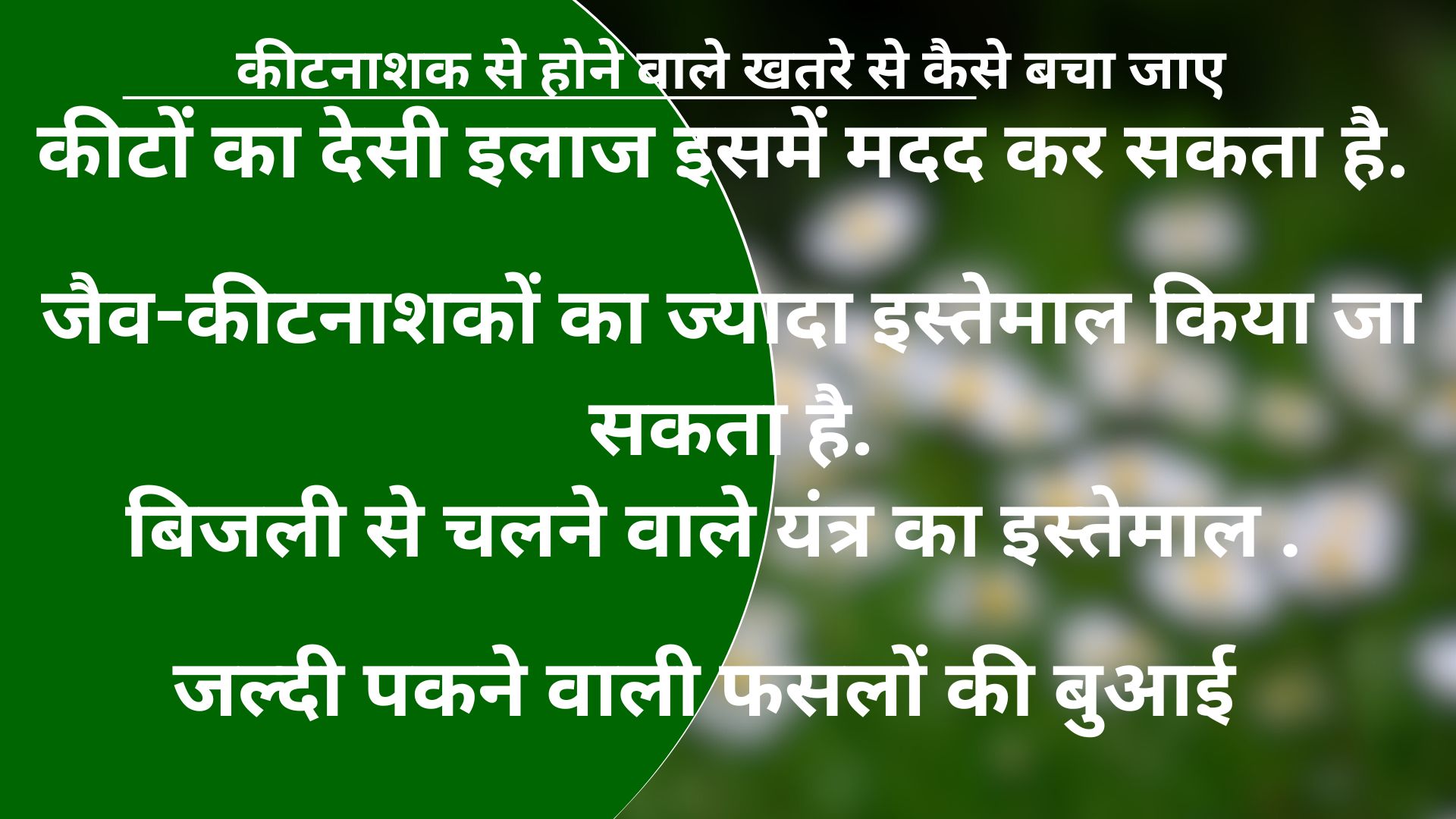 घर-घर बीमारी पहुंचा रहे खेती में इस्तेमाल होने वाले कीटनाशक, मिट्टी, हवा और पानी में घुल रहा है जहर