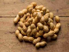 शेंगदाणे खाण्याचे काय फायदे आहेत हे जाणून घेऊया?