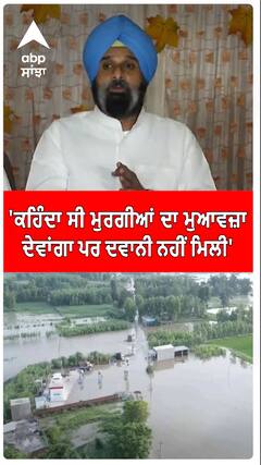 Punjab Flood | 'ਕਹਿੰਦਾ ਸੀ ਮੁਰਗੀਆਂ ਦਾ ਮੁਆਵਜ਼ਾ ਦੇਵਾਂਗਾ ਪਰ ਦਵਾਨੀ ਨਹੀਂ ਮਿਲੀ'