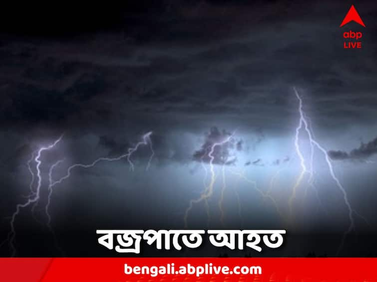 woman was injured by lightning while working in the farmland Purulia News: চাষের জমিতে কাজ করতে গিয়ে বিপত্তি, বজ্রপাতে আহত এক